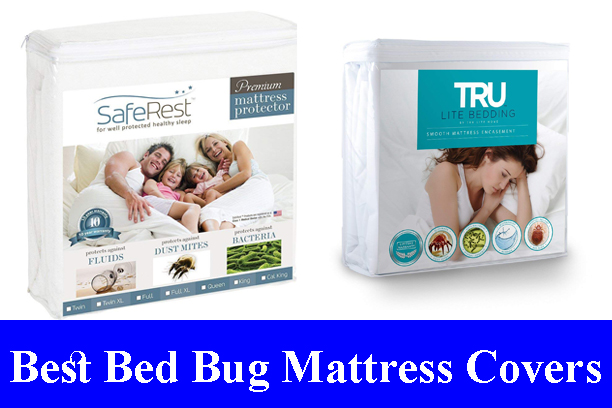 best mattress pad natural and bed bug proof