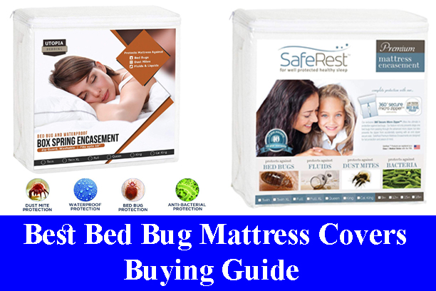 the best bed bug mattress cover