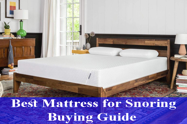 best mattress for snoring reviews
