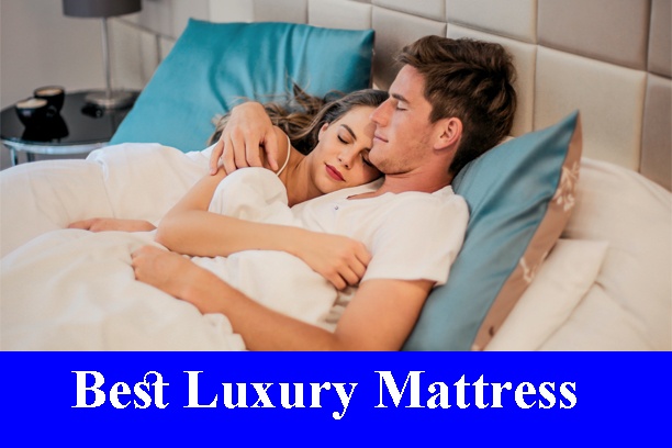 best luxury mattress for back sleepers